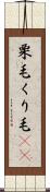 栗毛 Scroll