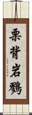 栗背岩鷚 Scroll
