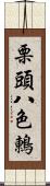 栗頭八色鶇 Scroll