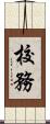 校務 Scroll
