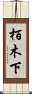 栢木下 Scroll