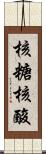 核糖核酸 Scroll