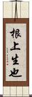 根上生也 Scroll