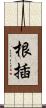 根插 Scroll