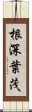 根深葉茂 Scroll