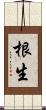 根生 Scroll