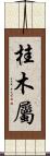 桂木屬 Scroll