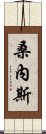 桑內斯 Scroll