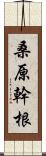 桑原幹根 Scroll