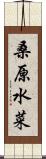 桑原水菜 Scroll