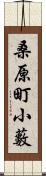 桑原町小藪 Scroll