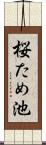 桜ため池 Scroll