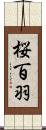 桜百羽 Scroll
