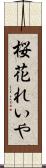 桜花れいや Scroll