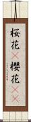 桜花(P);櫻花(sK) Scroll