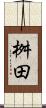 桝田 Scroll