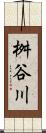 桝谷川 Scroll