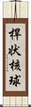 桿状核球 Scroll