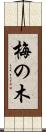 梅の木 Scroll