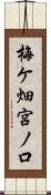 梅ケ畑宮ノ口 Scroll