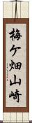 梅ケ畑山崎 Scroll