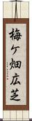 梅ケ畑広芝 Scroll