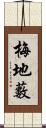 梅地藪 Scroll