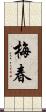 梅春 Scroll
