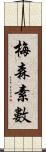 梅森素數 Scroll