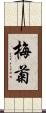 梅菊 Scroll