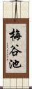 梅谷池 Scroll