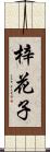 梓花子 Scroll