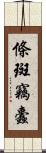 條斑竊蠹 Scroll