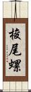 梭尾螺 Scroll