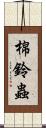 棉鈴蟲 Scroll