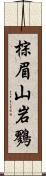 棕眉山岩鷚 Scroll