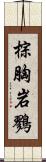 棕胸岩鷚 Scroll