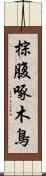 棕腹啄木鳥 Scroll
