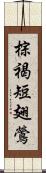 棕褐短翅鶯 Scroll