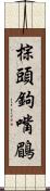 棕頭鉤嘴鶥 Scroll