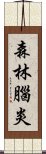 森林腦炎 Scroll