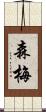 森梅 Scroll