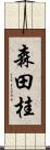 森田桂 Scroll