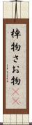 棹物 Scroll