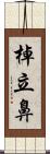 棹立鼻 Scroll