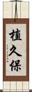 植久保 Scroll
