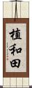 植和田 Scroll