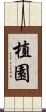 植園 Scroll