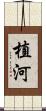 植河 Scroll