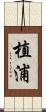 植浦 Scroll